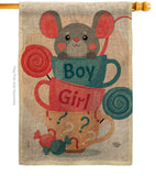 Mousy Boy Girl - Family Special Occasion Vertical Impressions Decorative Flags HG192674 Made In USA