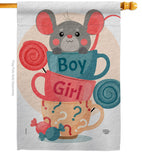 Mousy Boy Girl - Family Special Occasion Vertical Impressions Decorative Flags HG192674 Made In USA