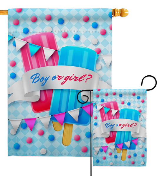 Gender Reveal - Family Special Occasion Vertical Impressions Decorative Flags HG137609 Made In USA