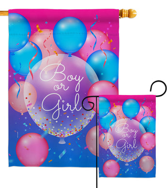 Boy Or Girl - Family Special Occasion Vertical Impressions Decorative Flags HG192675 Made In USA