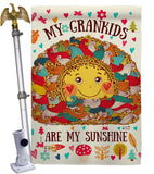 Grandkids Are My Sunshine - Family Special Occasion Vertical Impressions Decorative Flags HG137148 Made In USA