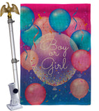 Boy Or Girl - Family Special Occasion Vertical Impressions Decorative Flags HG192675 Made In USA