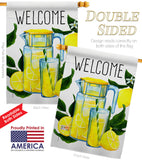 Refreshing Lemonade - Fruits Food Vertical Impressions Decorative Flags HG117080 Made In USA