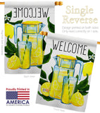 Refreshing Lemonade - Fruits Food Vertical Impressions Decorative Flags HG117080 Made In USA