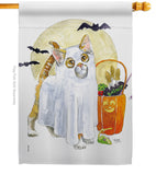 Ghost Cat - Halloween Fall Vertical Impressions Decorative Flags HG112097 Made In USA