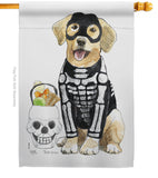 Spooky Skeleton Lab - Halloween Fall Vertical Impressions Decorative Flags HG112098 Made In USA