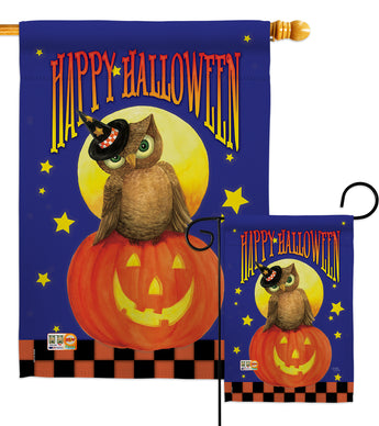 Owl Sitting on Jack-O-Lantern - Halloween Fall Vertical Impressions Decorative Flags HG112069 Made In USA