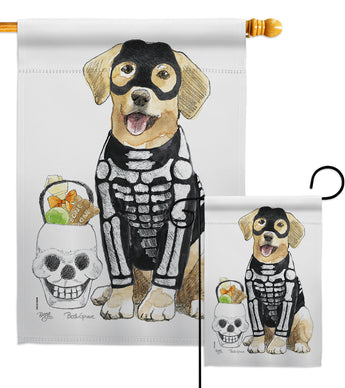 Spooky Skeleton Lab - Halloween Fall Vertical Impressions Decorative Flags HG112098 Made In USA