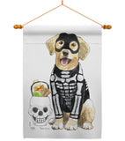 Spooky Skeleton Lab - Halloween Fall Vertical Impressions Decorative Flags HG112098 Made In USA
