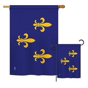 Fleur De Lis - Historic Americana Vertical Impressions Decorative Flags HG140712 Printed In USA