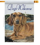 Dachshund - Pets Nature Vertical Impressions Decorative Flags HG110003 Made In USA