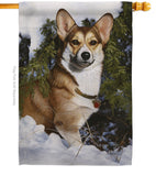 Corgi - Pets Nature Vertical Impressions Decorative Flags HG110088 Made In USA