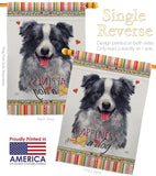 Border Collie Happiness - Pets Nature Vertical Impressions Decorative Flags HG110158 Made In USA