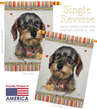 Wire Haired Dachshund Happiness - Pets Nature Vertical Impressions Decorative Flags HG110171 Made In USA