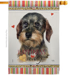 Wire Haired Dachshund Happiness - Pets Nature Vertical Impressions Decorative Flags HG110171 Made In USA