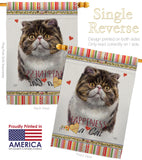 Exotic Short Hair Happiness - Pets Nature Vertical Impressions Decorative Flags HG110177 Made In USA