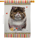 Exotic Short Hair Happiness - Pets Nature Vertical Impressions Decorative Flags HG110177 Made In USA