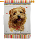 Tan Norfolk Terrier Happiness - Pets Nature Vertical Impressions Decorative Flags HG110186 Made In USA