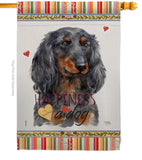 Blue Long Hair Dachshund Happiness - Pets Nature Vertical Impressions Decorative Flags HG110251 Made In USA