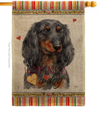 Blue Long Hair Dachshund Happiness - Pets Nature Vertical Impressions Decorative Flags HG110251 Made In USA