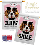 Please Smile - Pets Nature Vertical Impressions Decorative Flags HG137524 Made In USA