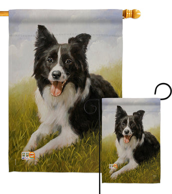 Border Collie - Pets Nature Vertical Impressions Decorative Flags HG110077 Made In USA