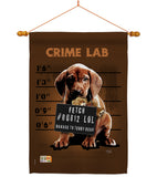 Crime Lab - Pets Nature Vertical Impressions Decorative Flags HG110002 Made In USA