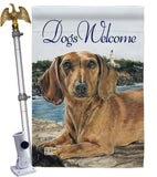 Dachshund - Pets Nature Vertical Impressions Decorative Flags HG110003 Made In USA