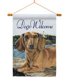 Dachshund - Pets Nature Vertical Impressions Decorative Flags HG110003 Made In USA