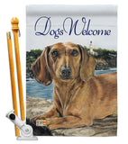 Dachshund - Pets Nature Vertical Impressions Decorative Flags HG110003 Made In USA