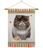 Exotic Short Hair Happiness - Pets Nature Vertical Impressions Decorative Flags HG110177 Made In USA