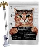 Bad Kitty - Pets Nature Vertical Impressions Decorative Flags HG137530 Made In USA