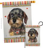 Wire Haired Dachshund Happiness - Pets Nature Vertical Impressions Decorative Flags HG110171 Made In USA