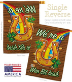 We're a Wee Bit Irish - St Patrick Spring Vertical Impressions Decorative Flags HG102002 Made In USA