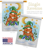 Lucky Gnome - St Patrick Spring Vertical Impressions Decorative Flags HG120049 Made In USA