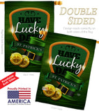 Have A Lucky Day - St Patrick Spring Vertical Impressions Decorative Flags HG192157 Made In USA