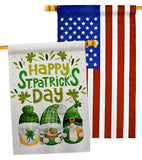 St Patty Trop Gnome - St Patrick Spring Vertical Impressions Decorative Flags HG120051 Made In USA