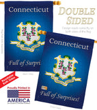 Connecticut - States Americana Vertical Impressions Decorative Flags HG108138 Made In USA