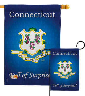 Connecticut - States Americana Vertical Impressions Decorative Flags HG108138 Made In USA