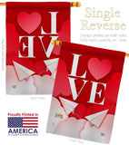 Paper Love Plane - Valentines Spring Vertical Impressions Decorative Flags HG192411 Made In USA