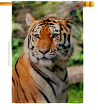 Life Of Tiger - Wildlife Nature Vertical Impressions Decorative Flags HG110281 Made In USA