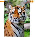 Life Of Tiger - Wildlife Nature Vertical Impressions Decorative Flags HG110281 Made In USA