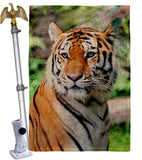 Life Of Tiger - Wildlife Nature Vertical Impressions Decorative Flags HG110281 Made In USA