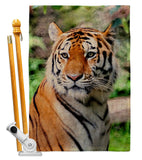 Life Of Tiger - Wildlife Nature Vertical Impressions Decorative Flags HG110281 Made In USA