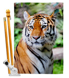 Life Of Tiger - Wildlife Nature Vertical Impressions Decorative Flags HG110281 Made In USA